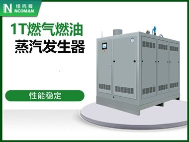 1T燃气燃油蒸汽发生器